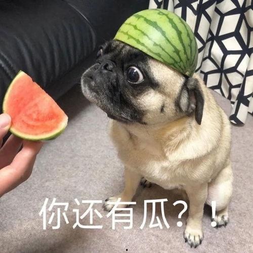鬼脸吃瓜犯法吗,揭秘网络恶搞的法律边界