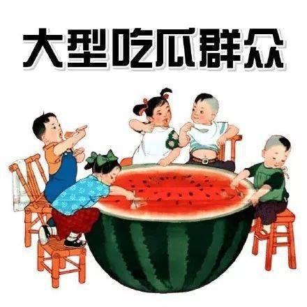 陈伯吹瓜瓜吃瓜,一场趣味盎然的亲子互动之旅