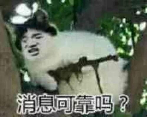 心声吃瓜沙雕动,沙雕动中的欢乐时光