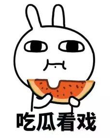 求吃瓜群哪有,吃瓜群的热门聚集地，带你一探究竟