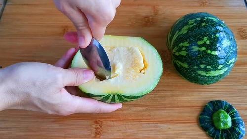 吃瓜小教学,吃瓜小教学生活记