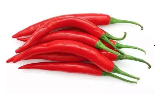 大瓜吃辣椒,辣椒美食盛宴